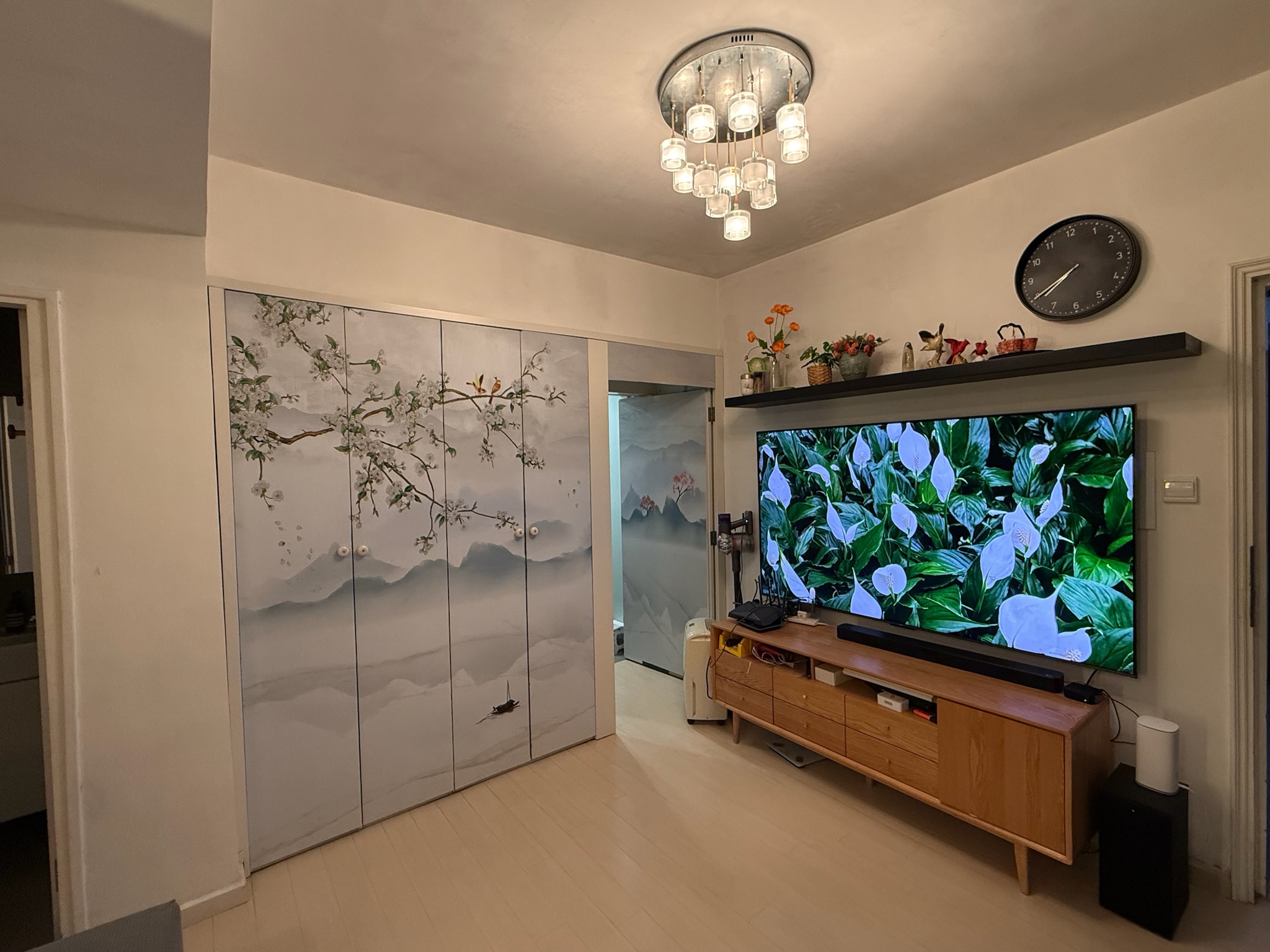 Living room television and decorative storage