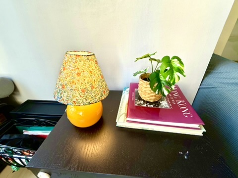 Decorative lamp and plant