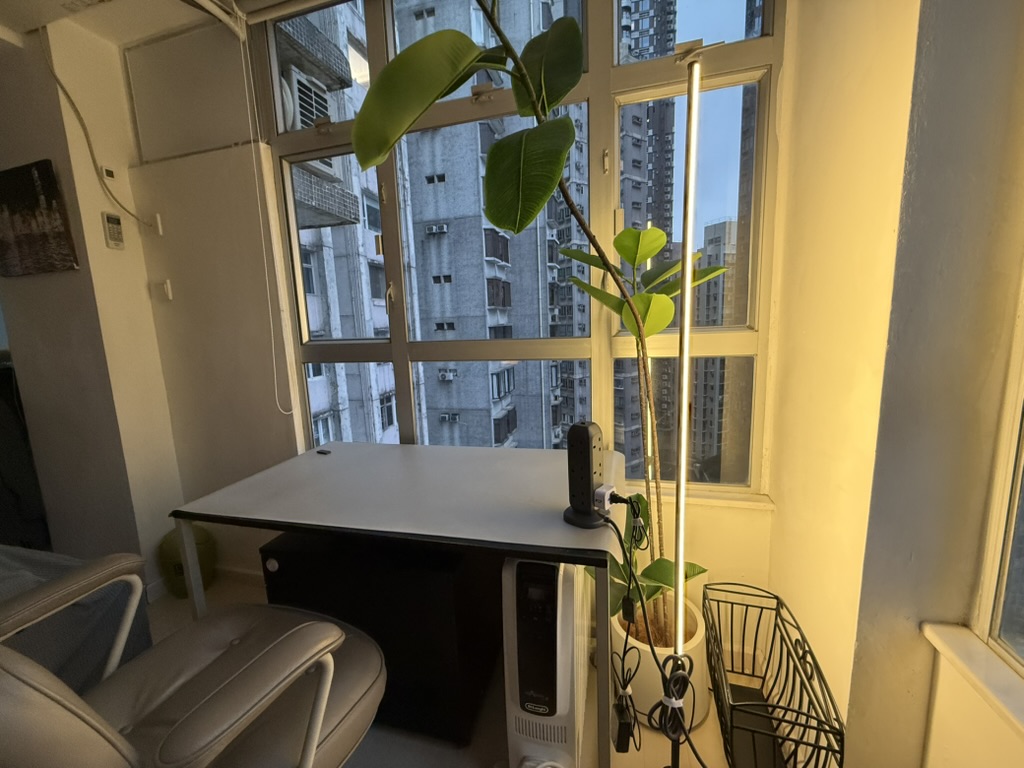 Desk by the window
