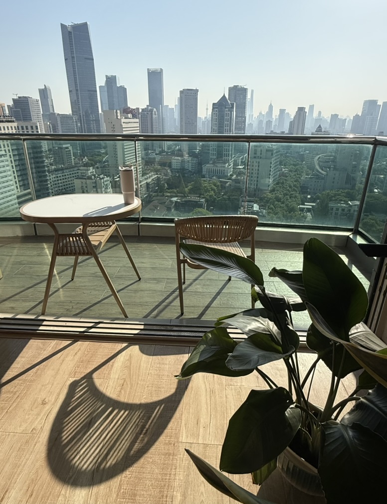 Sunny balcony viewed from the living room