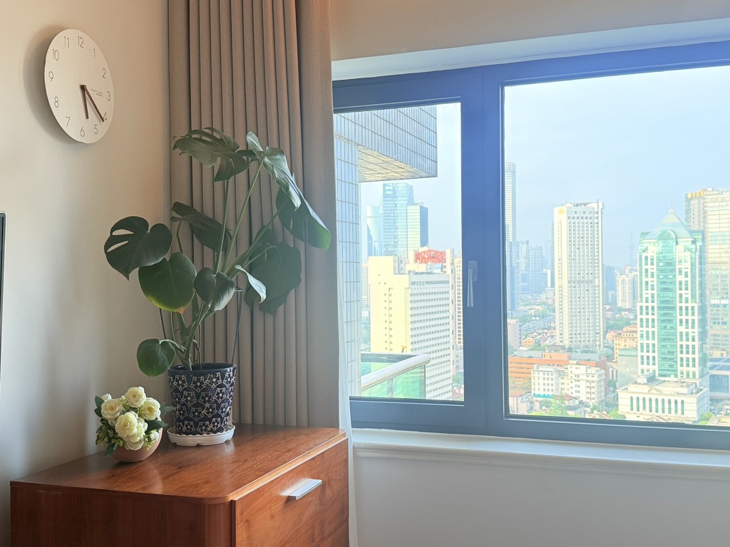 Bedroom window with city view