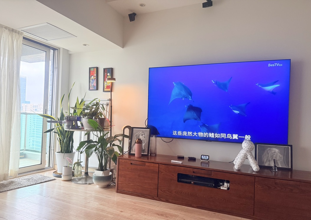 Living room television and plants